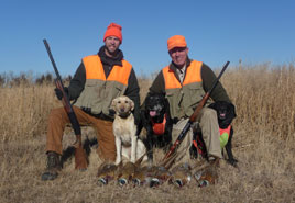 South Dakota Wild Pheasant Hunts