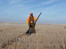 Dec_hunting_2014_053.JPG