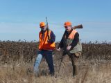 2013_hunting_2749_-_Copy_-_Copy.JPG