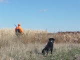 2013_hunting_2792.JPG